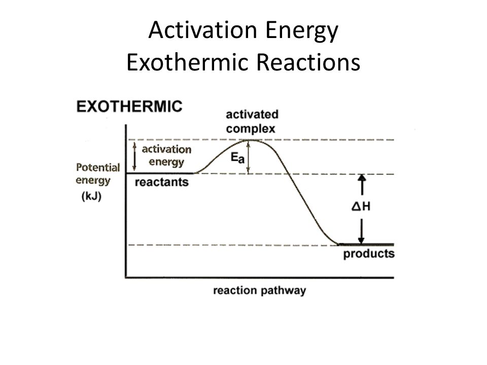 Activation Energy Exothermic Reactions