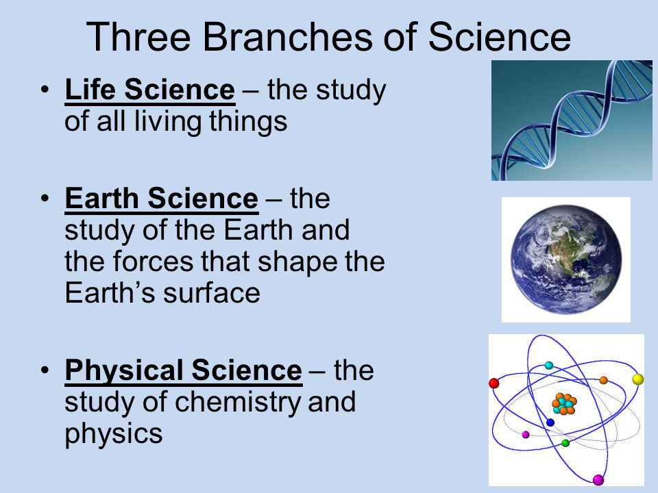 three branches of science
