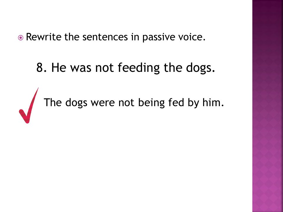 8. He was not feeding the dogs.