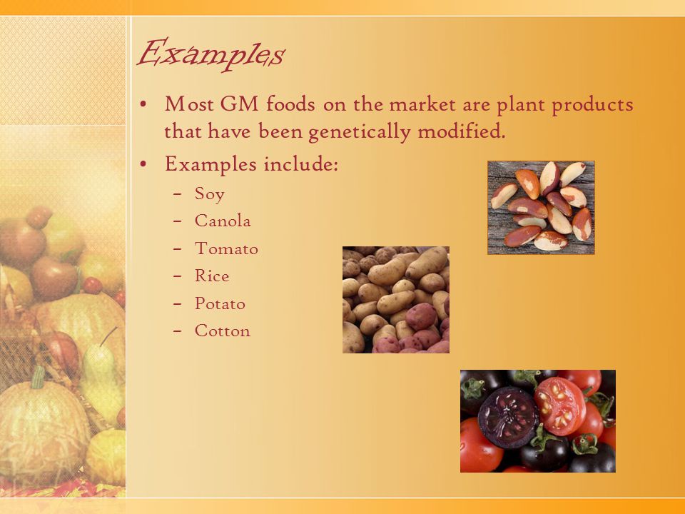 Examples Most GM foods on the market are plant products that have been genetically modified. Examples include: