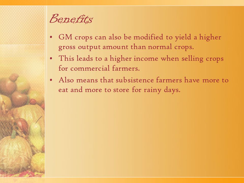Benefits GM crops can also be modified to yield a higher gross output amount than normal crops.