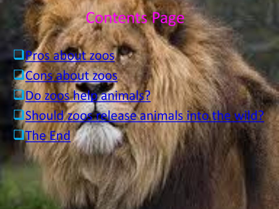 Should animals be kept in zoos? What are the pros and cons about zoos? -  ppt video online download