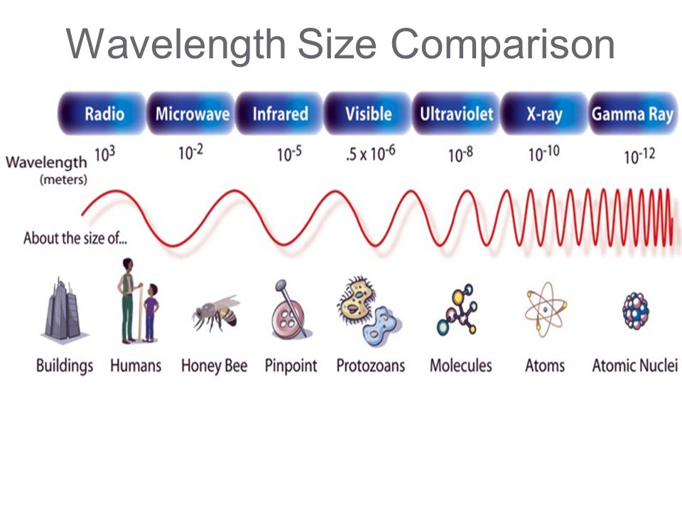 Wavelength Size Comparison