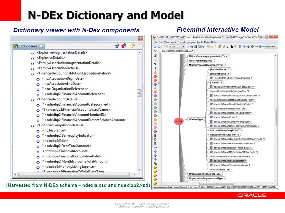 N-DEx Dictionary and Model