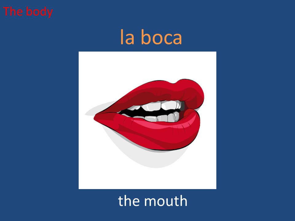 The body la boca the mouth