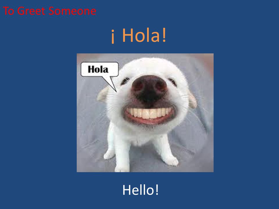To Greet Someone ¡ Hola! Hello!