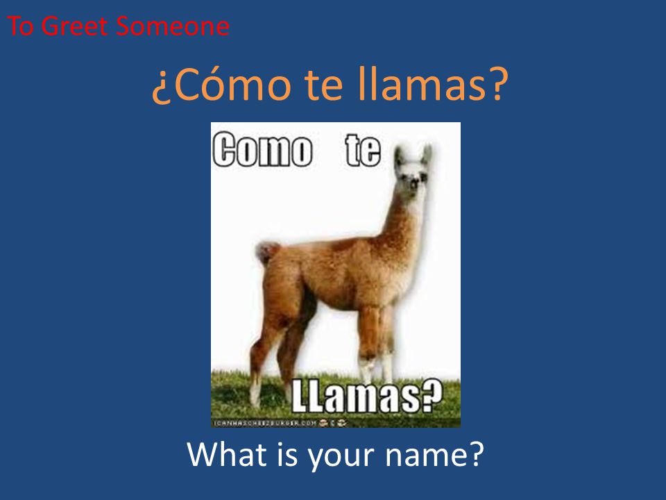 To Greet Someone ¿Cómo te llamas What is your name