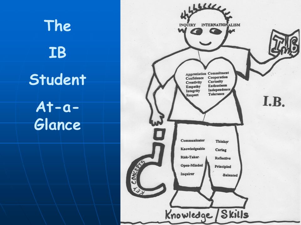 I The IB Student At-a-Glance