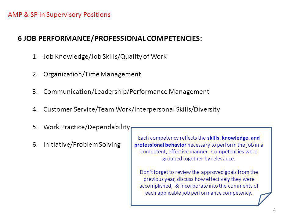 6 JOB PERFORMANCE/PROFESSIONAL COMPETENCIES:
