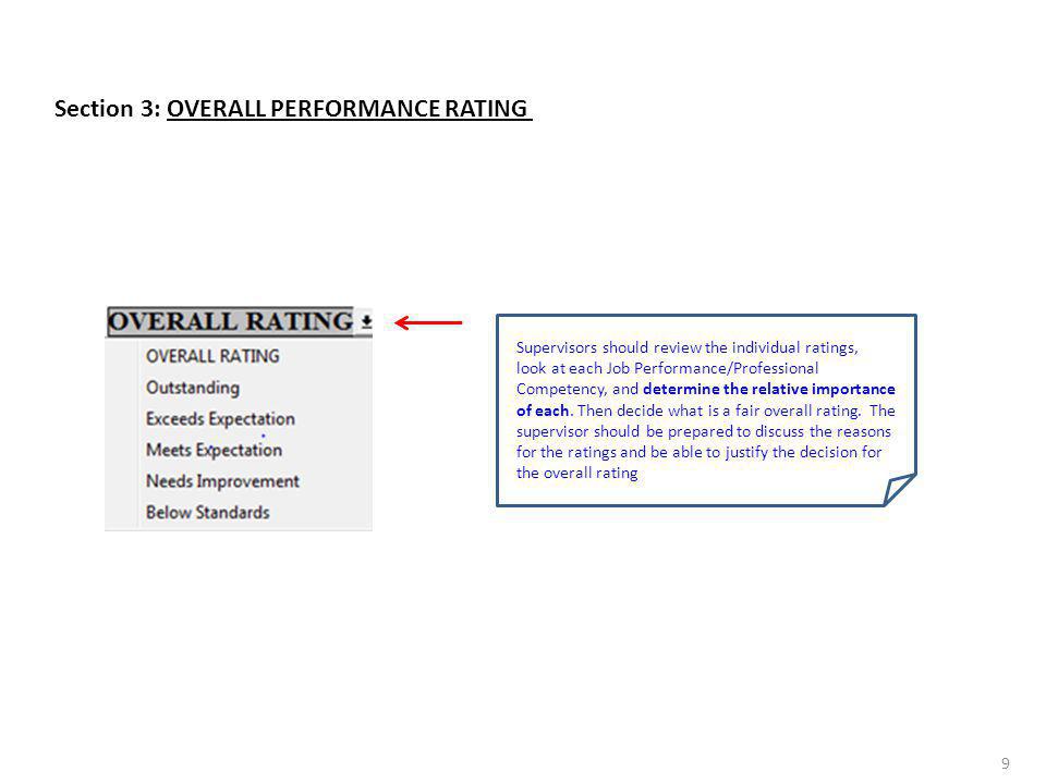 Section 3: OVERALL PERFORMANCE RATING