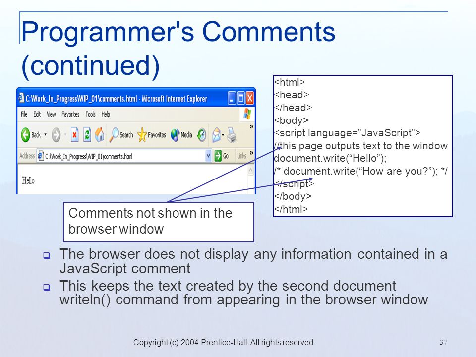 Programmer s Comments (continued)