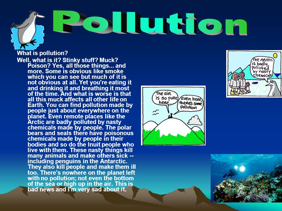 Pollution What is pollution