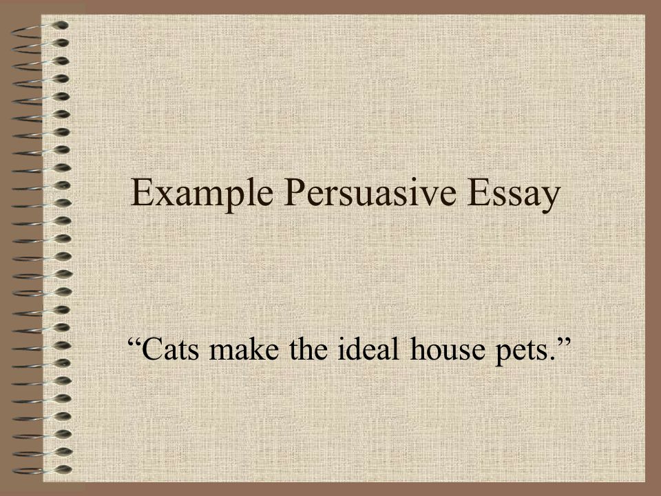 Example Persuasive Essay