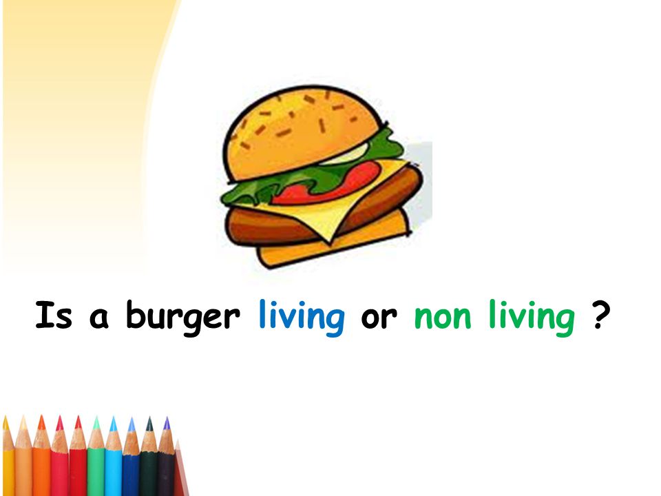 Is a burger living or non living