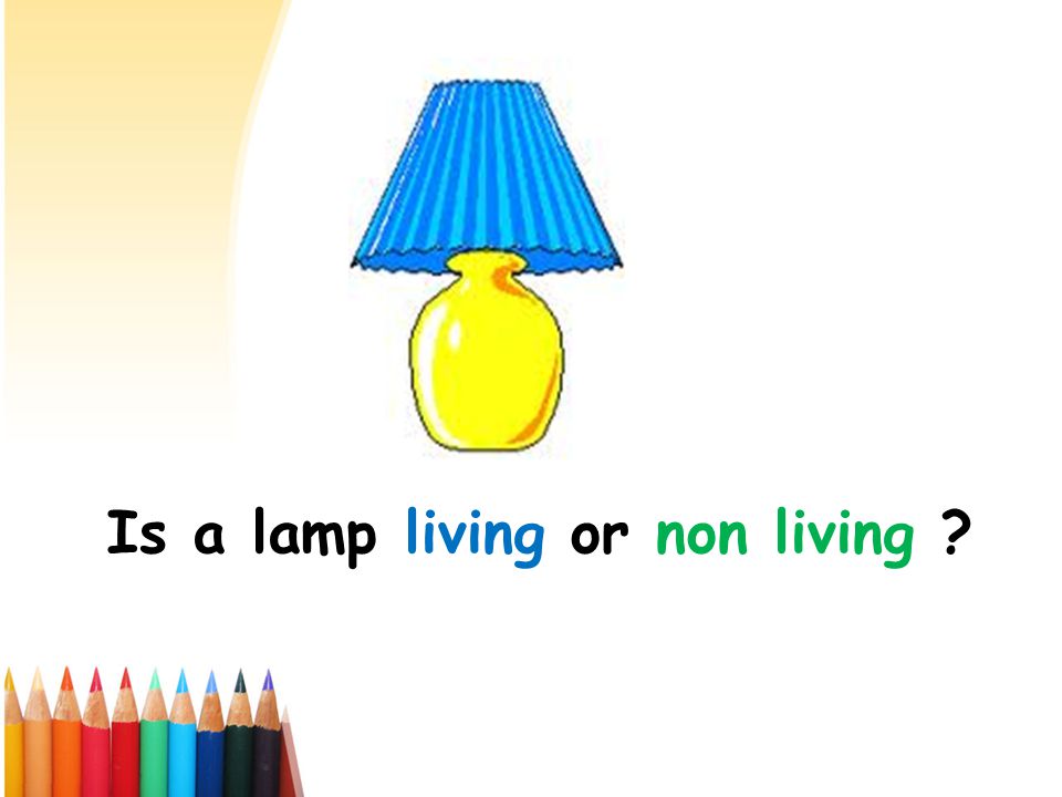 Is a lamp living or non living
