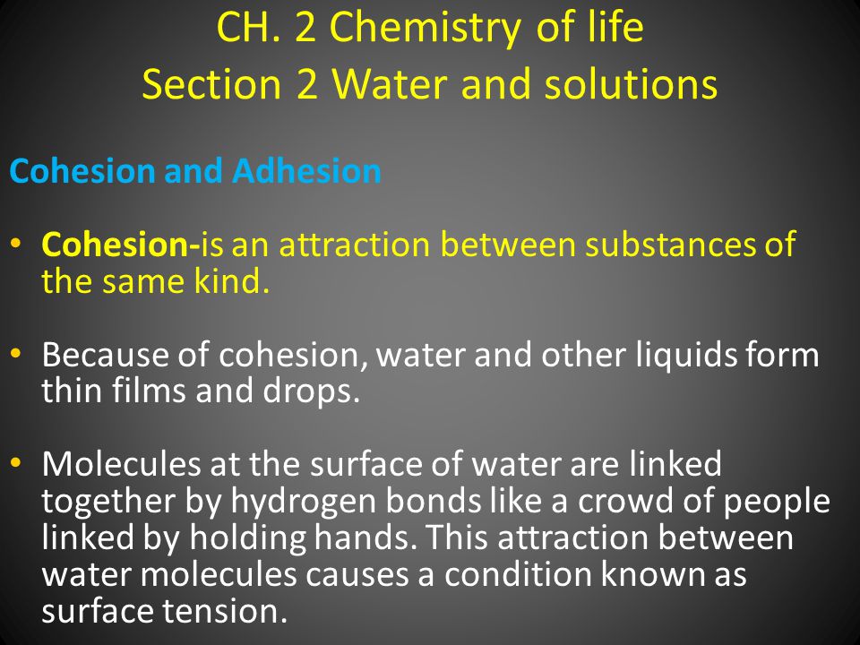 CH. 2 Chemistry of life Section 2 Water and solutions