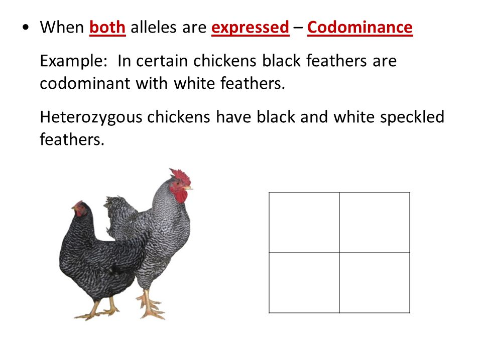 When both alleles are expressed – Codominance