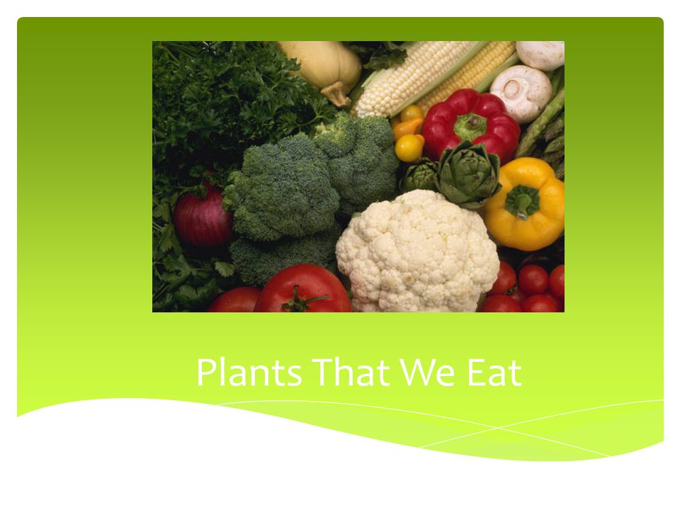 Plants That We Eat