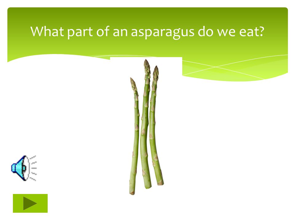 What part of an asparagus do we eat