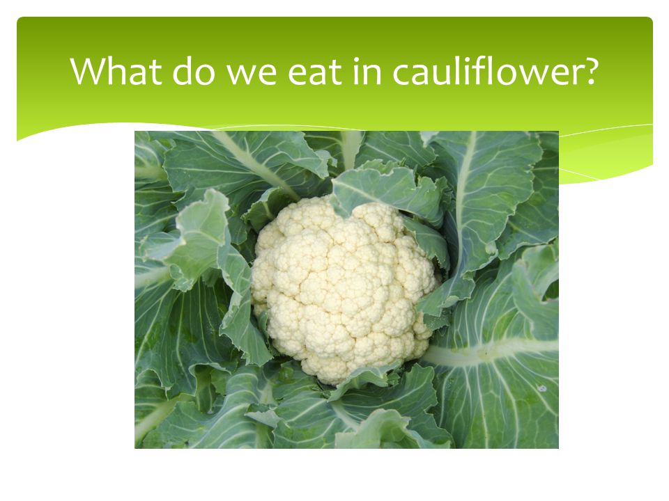 What do we eat in cauliflower