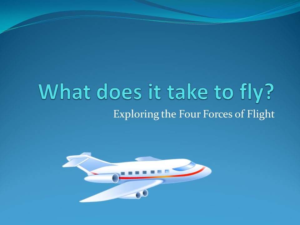 Exploring the Four Forces of Flight
