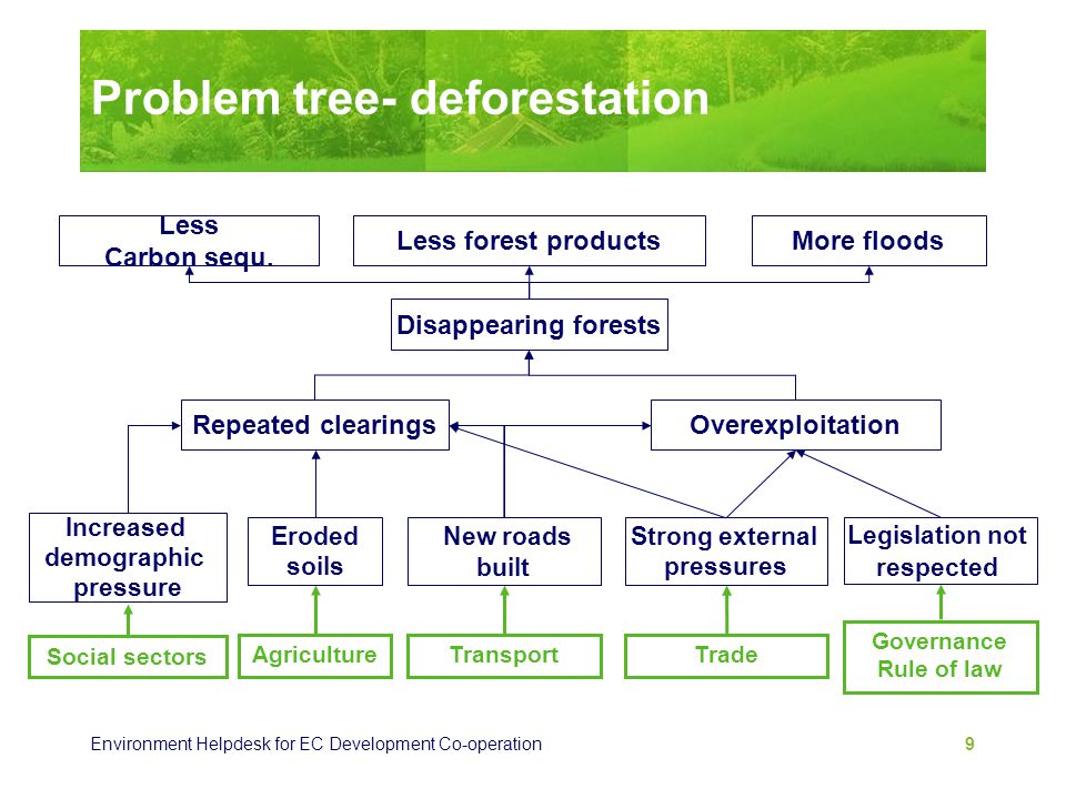Problem tree- deforestation