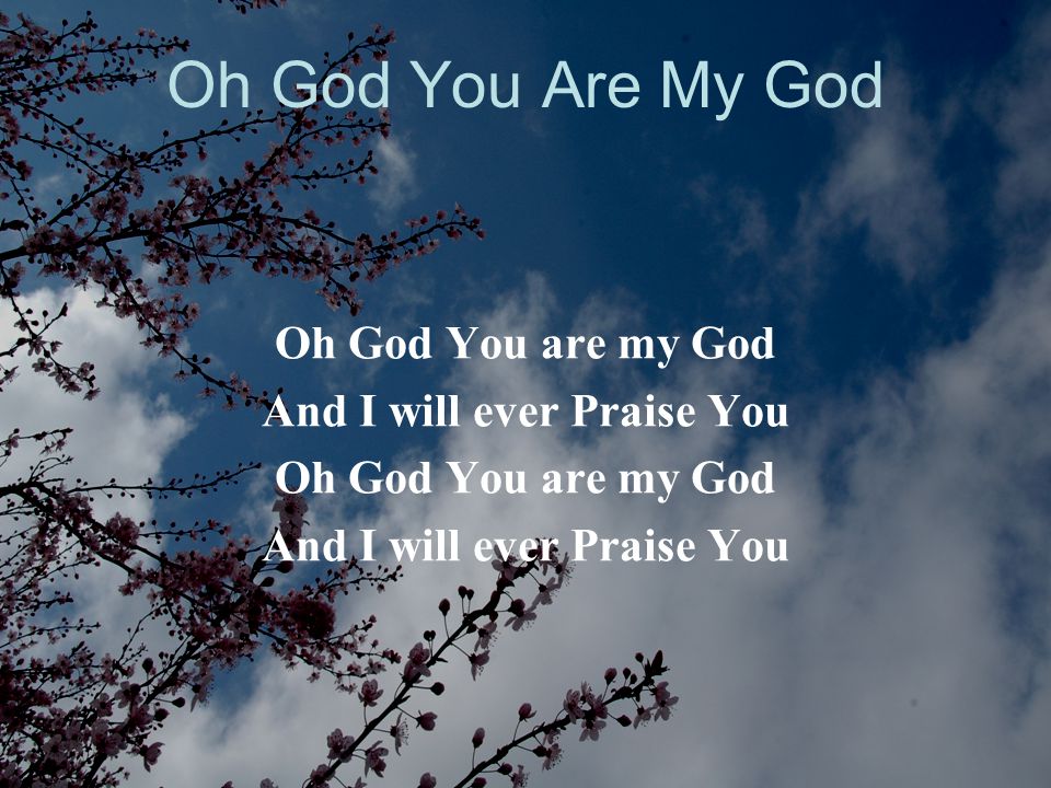 And I will ever Praise You