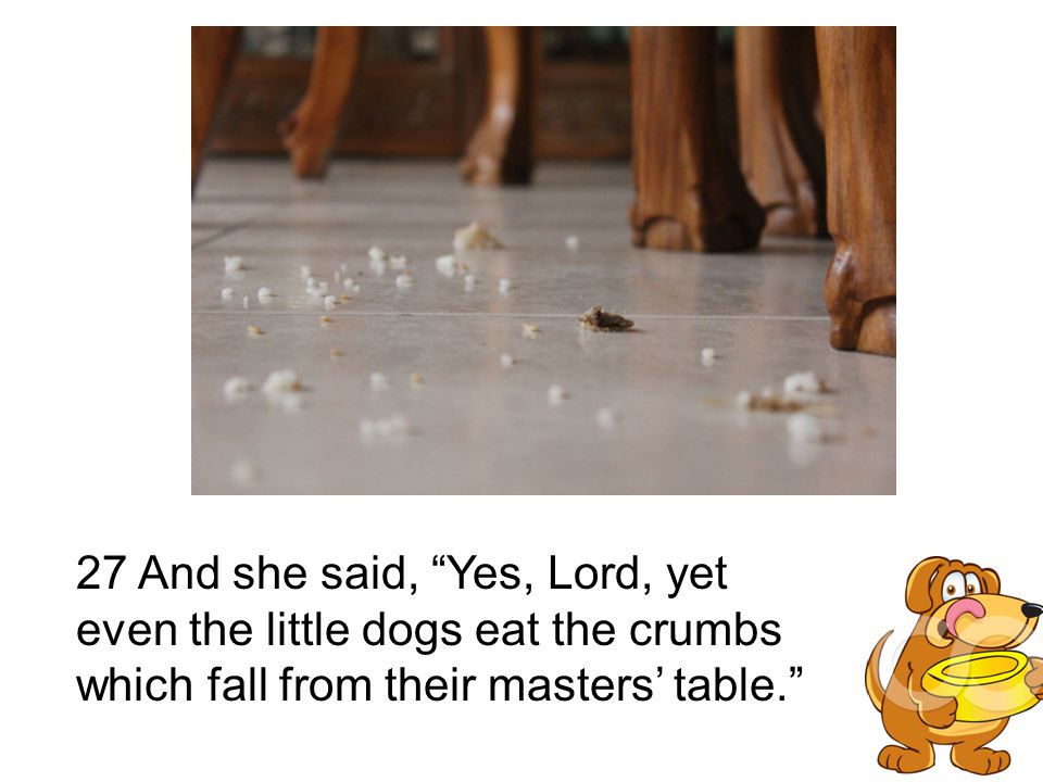 27 And she said, Yes, Lord, yet even the little dogs eat the crumbs which fall from their masters’ table.