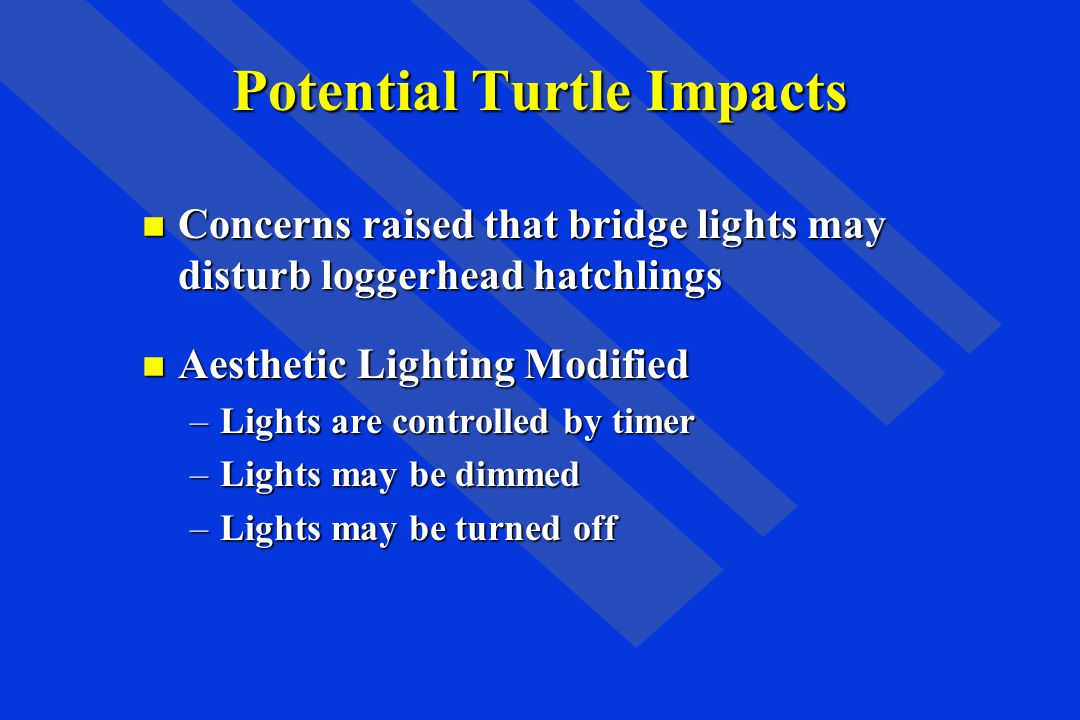 Potential Turtle Impacts
