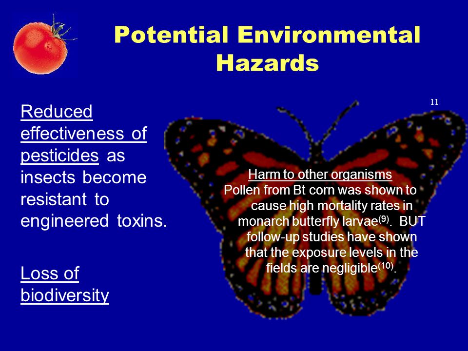 Potential Environmental Hazards