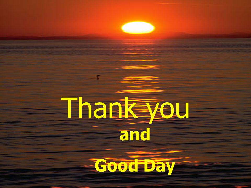 Thank you and Good Day