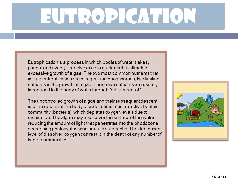 Eutropication