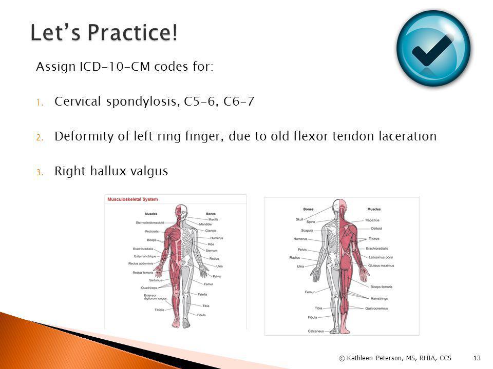Musculoskeletal System - ppt video online download