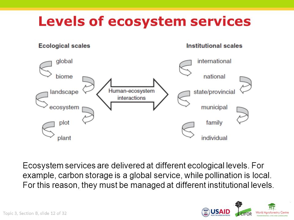 Levels of ecosystem services