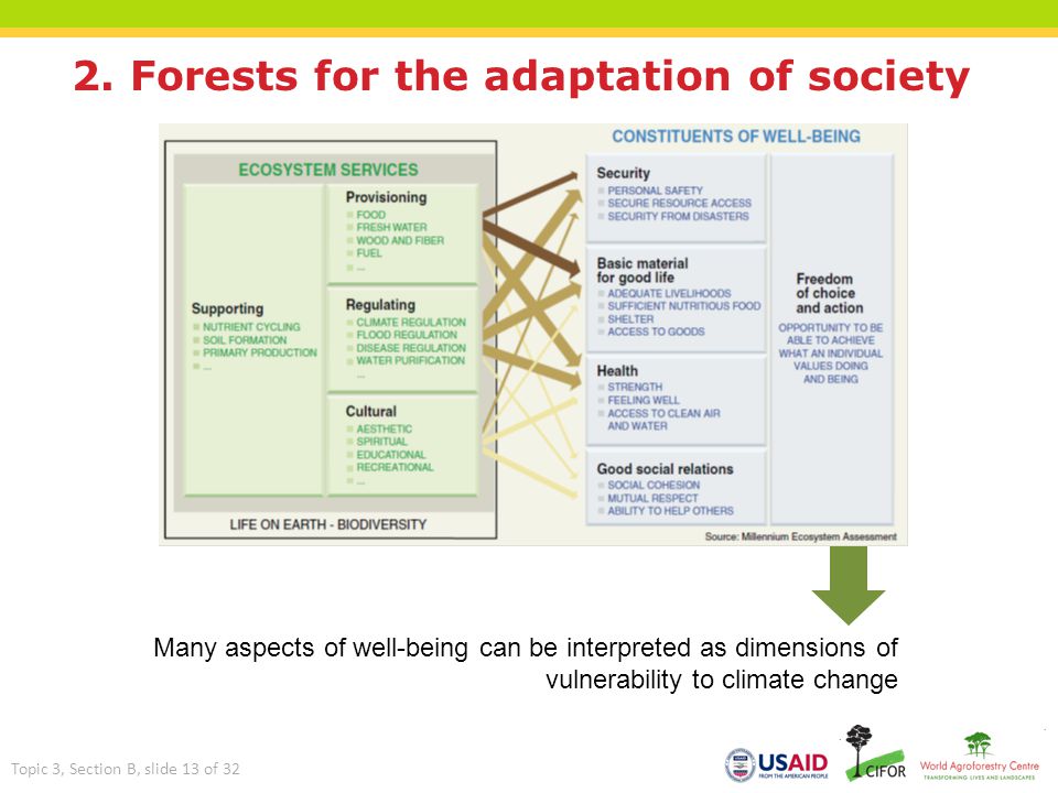 2. Forests for the adaptation of society