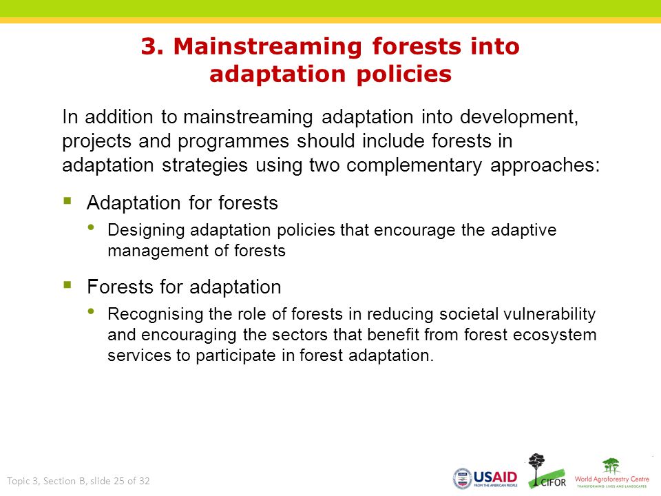 3. Mainstreaming forests into adaptation policies