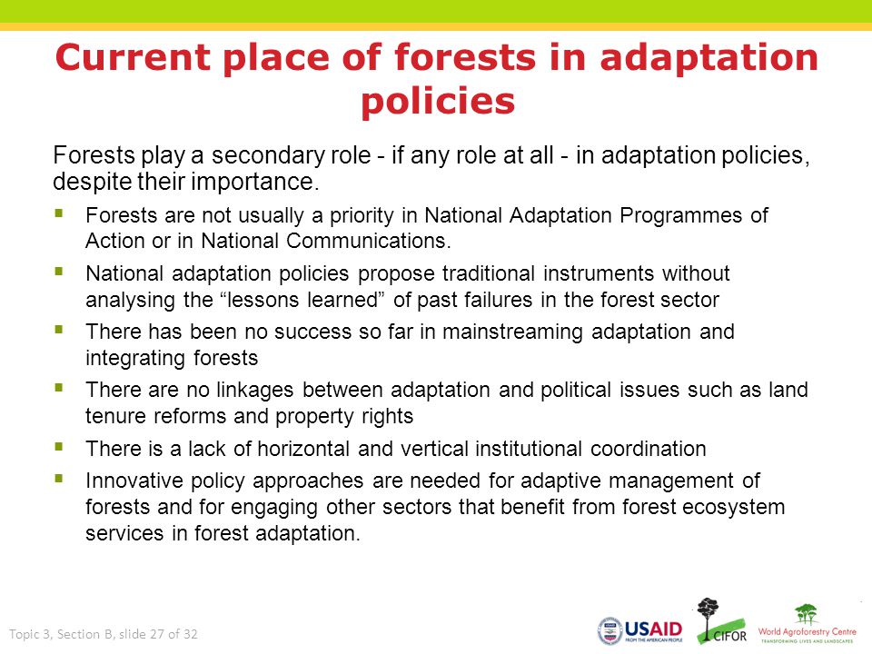 Current place of forests in adaptation policies