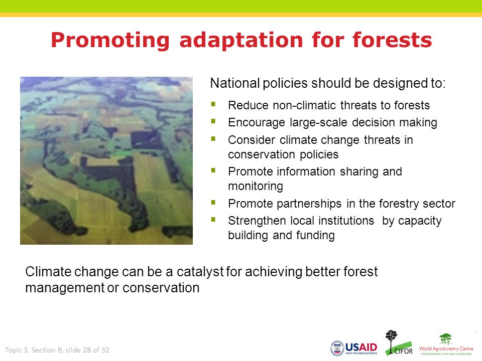 Promoting adaptation for forests