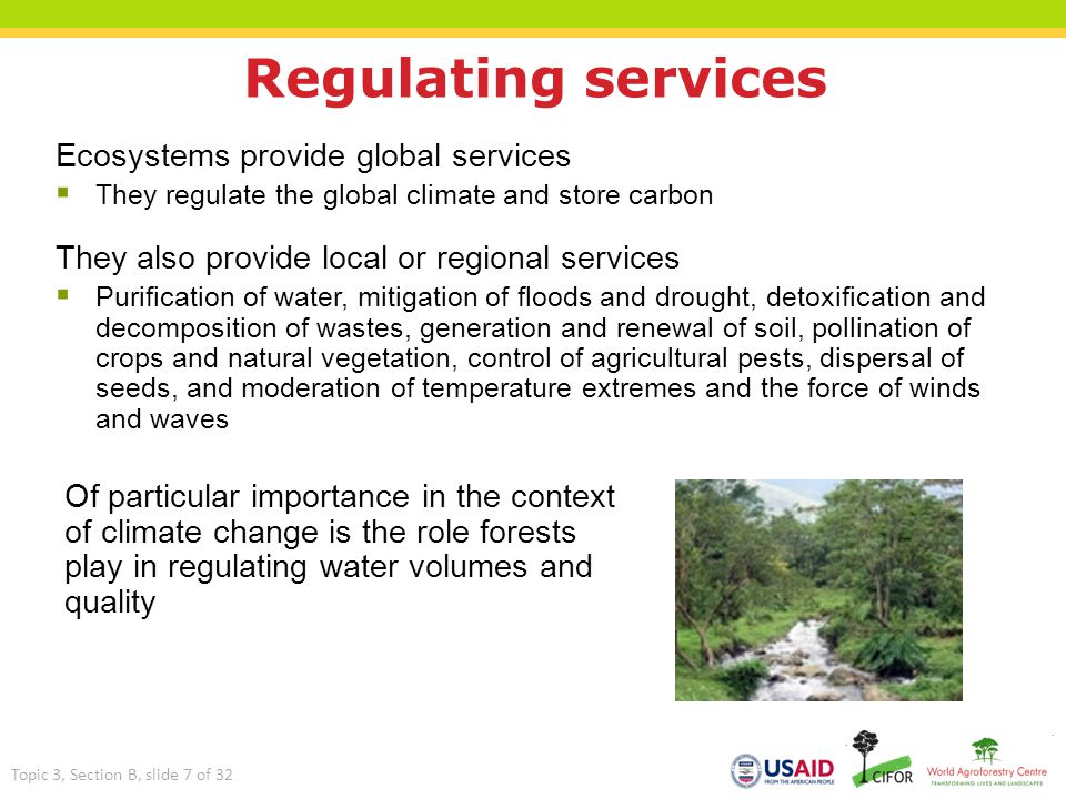 Regulating services Ecosystems provide global services