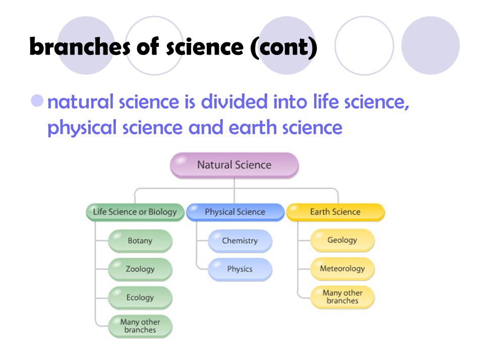 branches of science (cont)