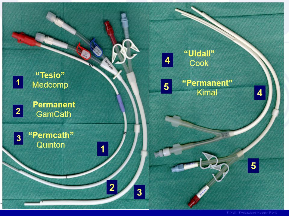 How to remove a catheter from a cat's vein: subcutaneous drip for a cat