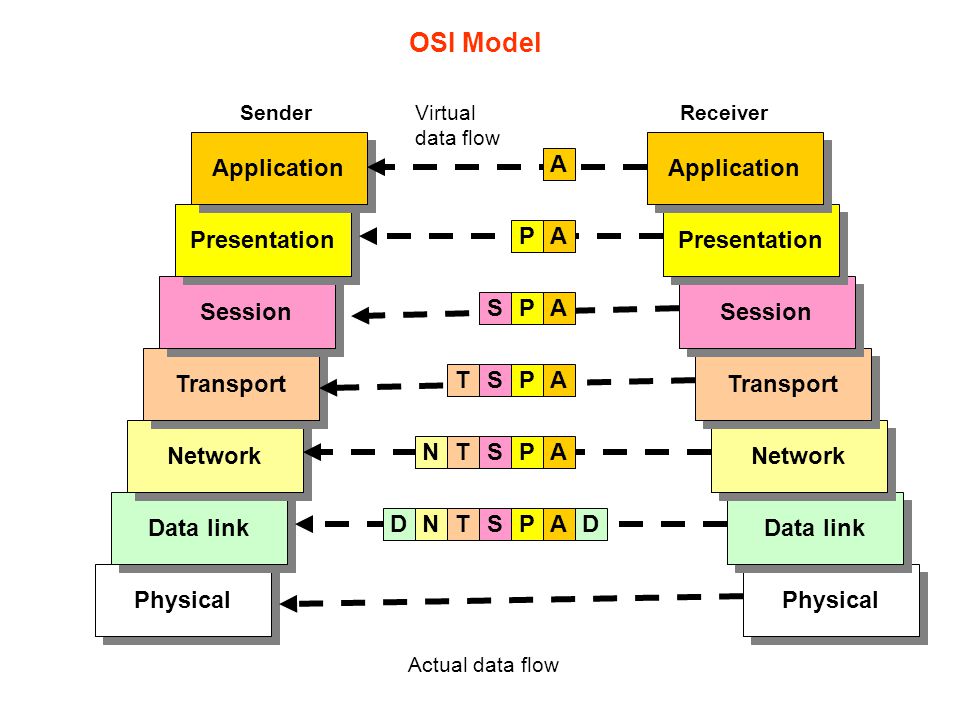 OSI Model Application Application A Presentation Presentation P A