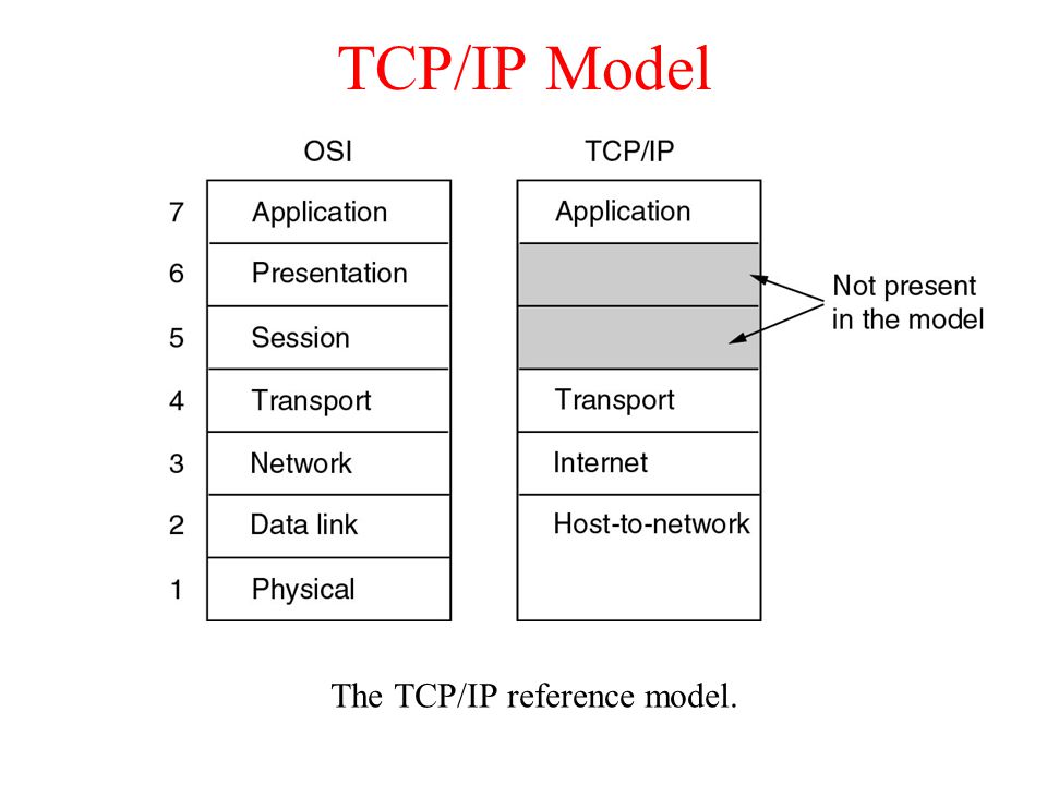 The TCP/IP reference model.