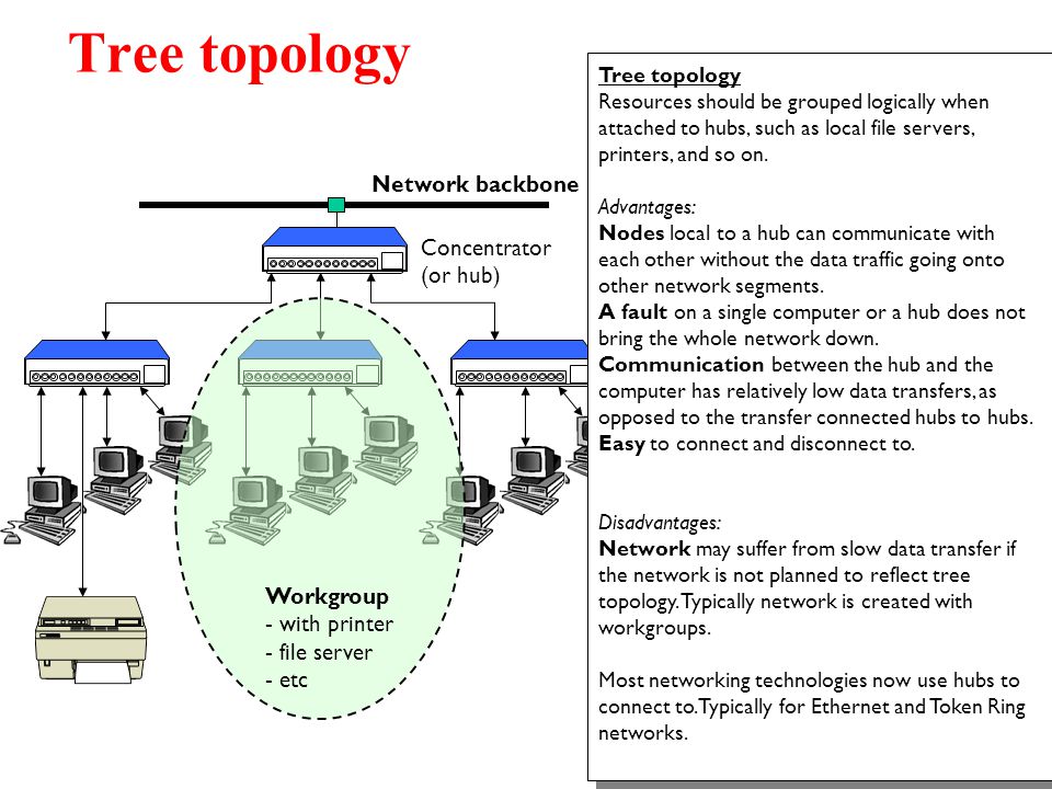 Tree topology Network backbone Concentrator (or hub) Workgroup
