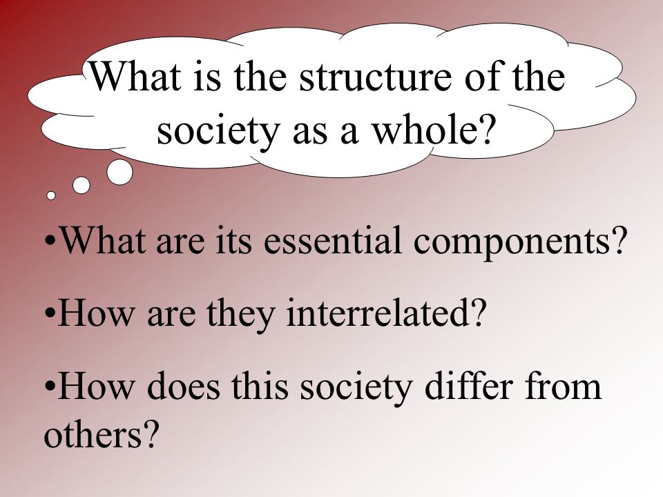 What is the structure of the society as a whole