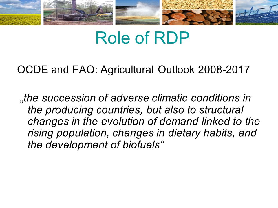 Role of RDP OCDE and FAO: Agricultural Outlook