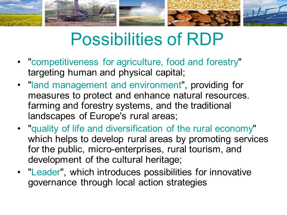 Possibilities of RDP competitiveness for agriculture, food and forestry targeting human and physical capital;