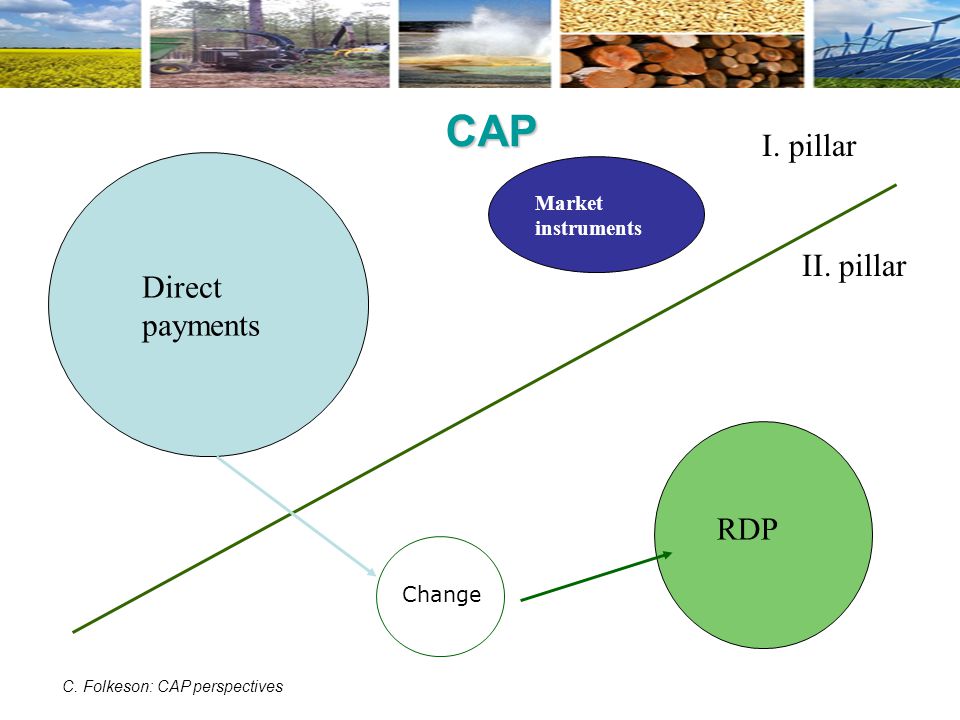 CAP I. pillar II. pillar Direct payments RDP Market instruments Change