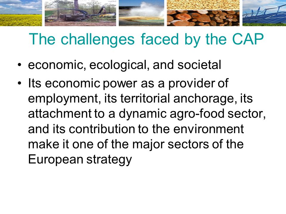 The challenges faced by the CAP