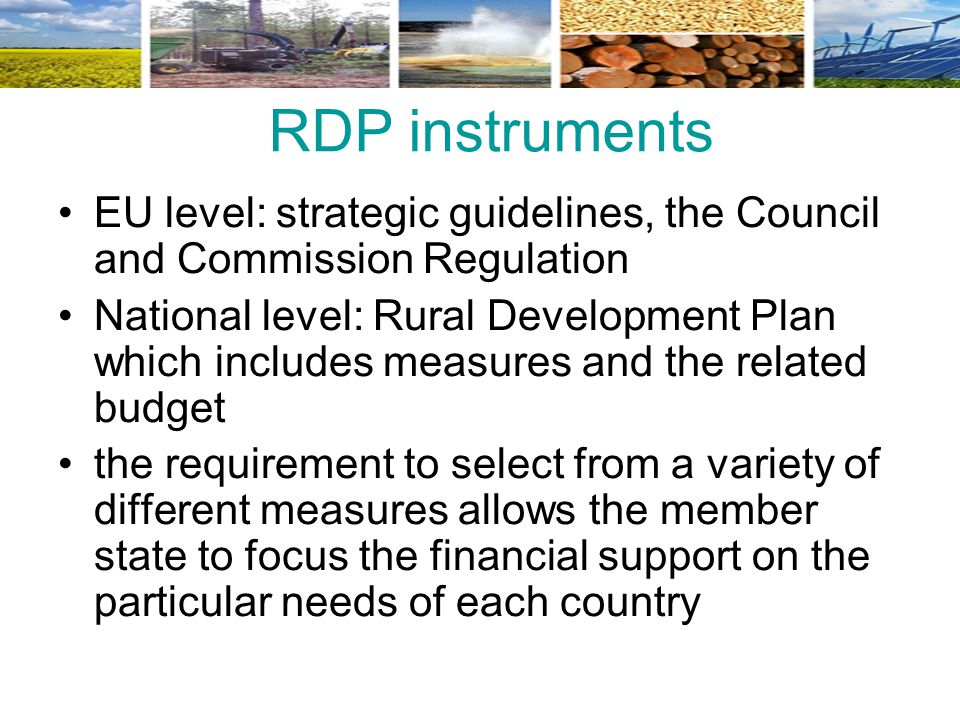 RDP instruments EU level: strategic guidelines, the Council and Commission Regulation.